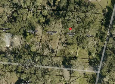 BRANDON FL Property