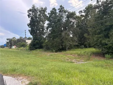 BELLEVIEW FL Property