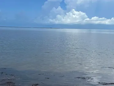 HOLIDAY FL Property