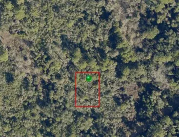 OAK HILL FL Property