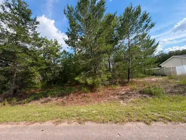 OCKLAWAHA FL Property