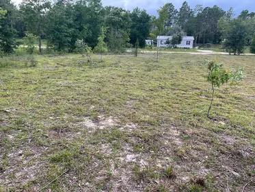 WILLISTON FL Property