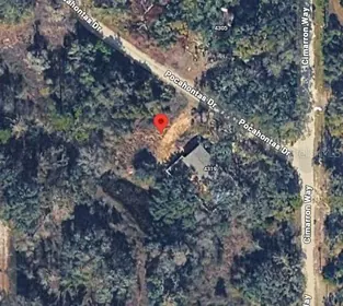 DADE CITY FL Property