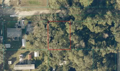 SALT SPRINGS FL Property