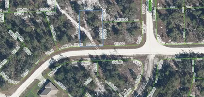LAKE PLACID FL Property