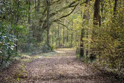 ALACHUA FL Property