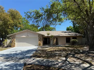 BRANDON FL Home