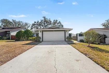 DUNEDIN FL Home