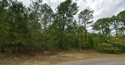 DUNNELLON FL Property