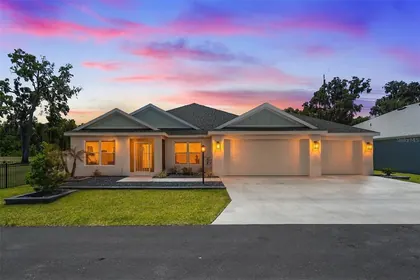 THE VILLAGES FL Home