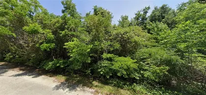 SUMMERFIELD FL Property