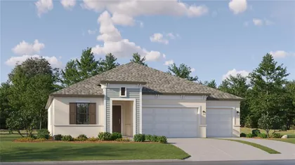 ZEPHYRHILLS FL Home