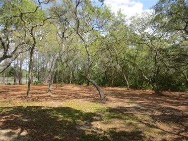 SILVER SPRINGS FL Property