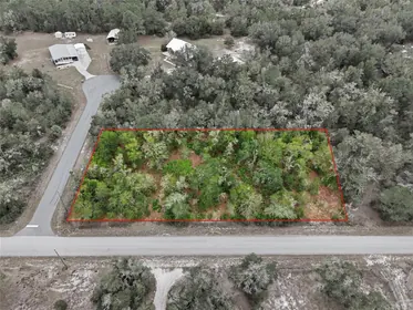 CRYSTAL RIVER FL Property
