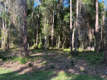 BUSHNELL FL Property