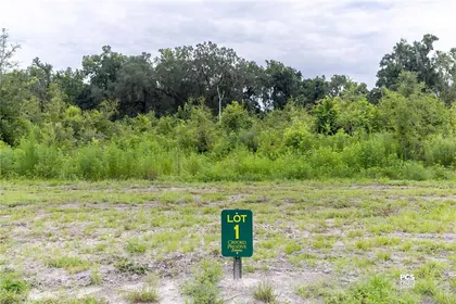 OXFORD FL Property