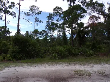 PUNTA GORDA FL Property
