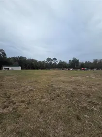 WEBSTER FL Property