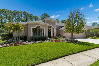 TAMPA FL Home