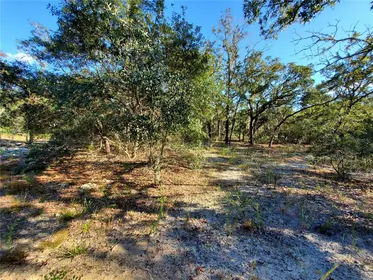 DUNNELLON FL Property