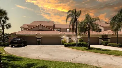 TAMPA FL Home