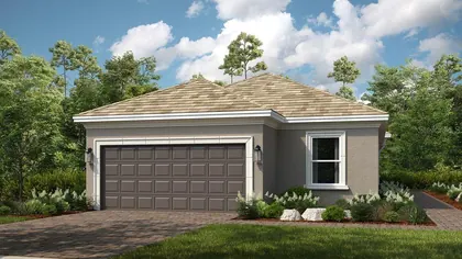 WESLEY CHAPEL FL Home