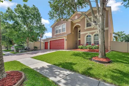 WESLEY CHAPEL FL Home