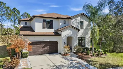 WESLEY CHAPEL FL Home