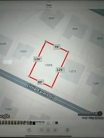 SPRING HILL FL Property