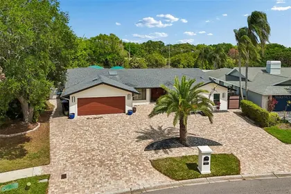 TAMPA FL Home