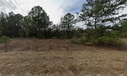 INTERLACHEN FL Property