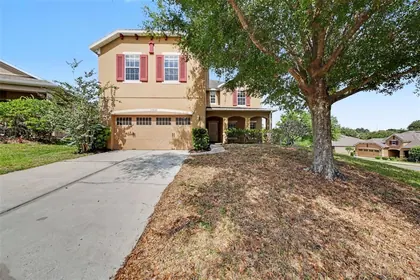 MOUNT DORA FL Home