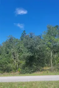 DUNNELLON FL Property