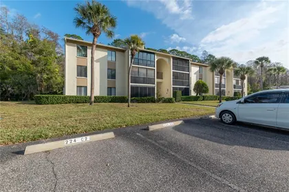 TARPON SPRINGS FL Home