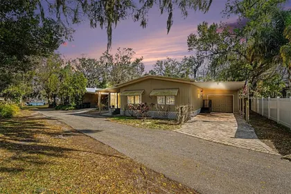 ODESSA FL Home