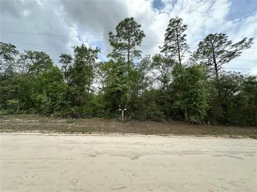 ARCHER FL Property