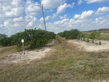 ARCADIA FL Property