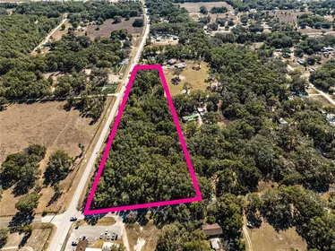 WEIRSDALE FL Property