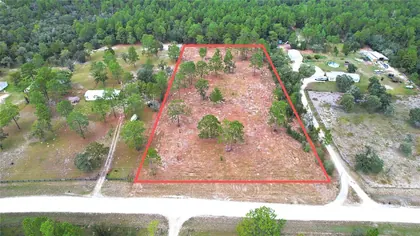 MORRISTON FL Property