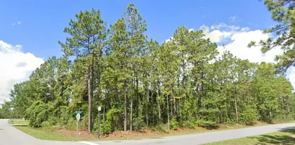 WILDWOOD FL Property