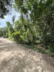 SALT SPRINGS FL Property