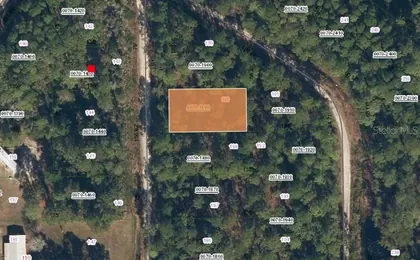 GEORGETOWN FL Property