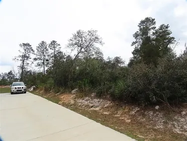 KISSIMMEE FL Property