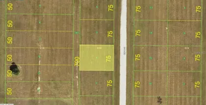 PLACIDA FL Property