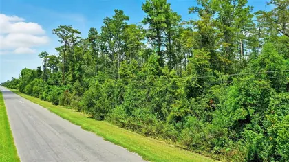 ORLANDO FL Property
