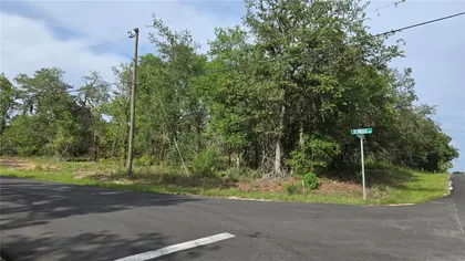 HERNANDO FL Property