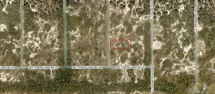 DUNNELLON FL Property
