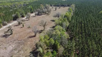 FORT WHITE FL Property