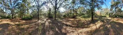 NEW PORT RICHEY FL Property