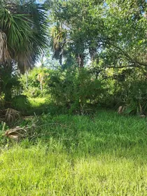 PORT CHARLOTTE FL Property